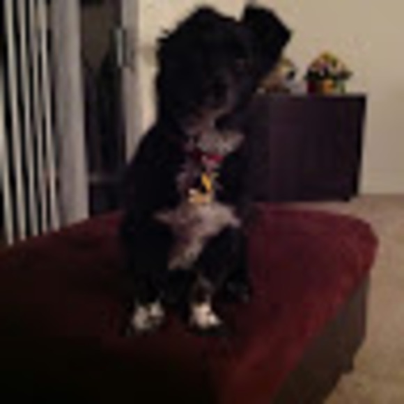 Meet your Posher, Adam - Picture 1 of 1